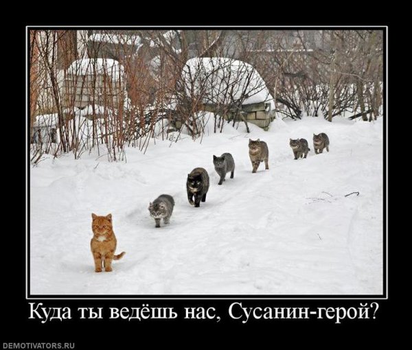 Утро воскресенья демотиваторы