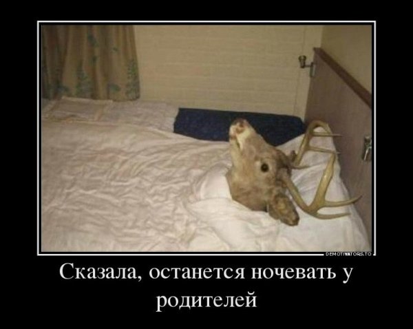 Воскресение демотиваторы смешные воскресенье