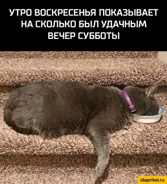 Июнь демотиватор