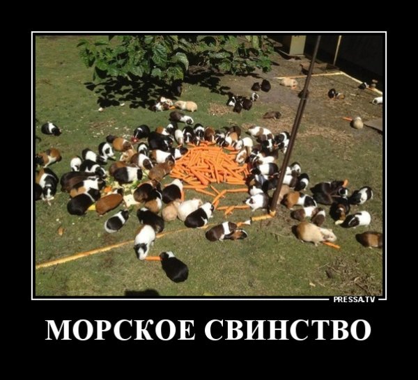 Завтра понедельник демотиватор