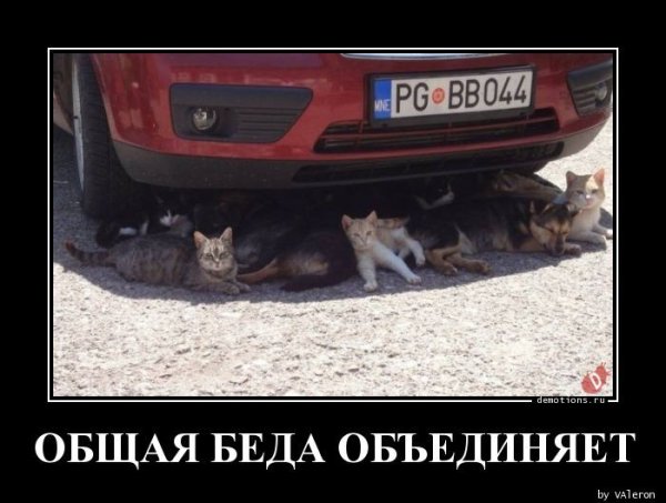 Скоро выходные
