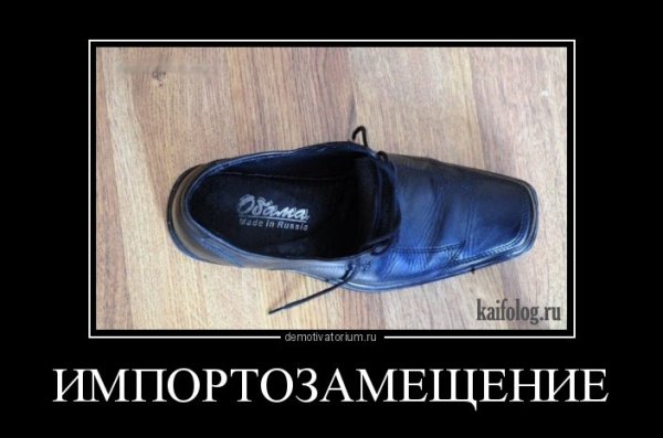 Сыр демотиватор