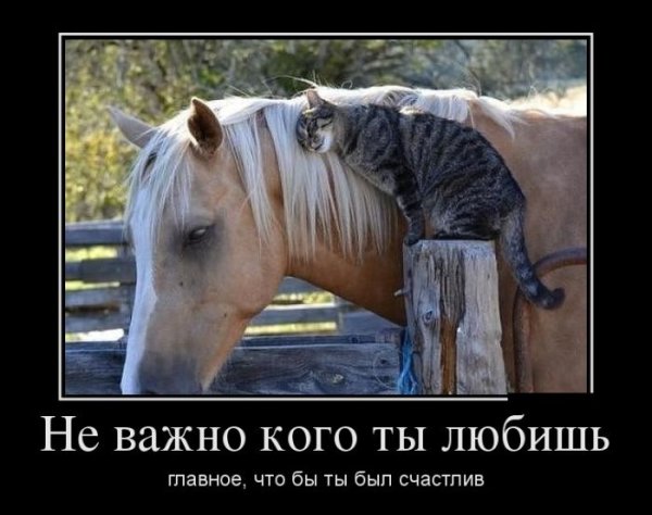 Конь мотиватор