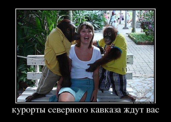 За грибами приколы