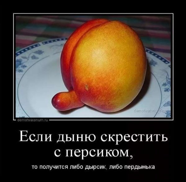 Демотиваторы ржачные