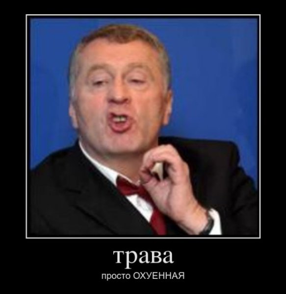 Жириновский мемы