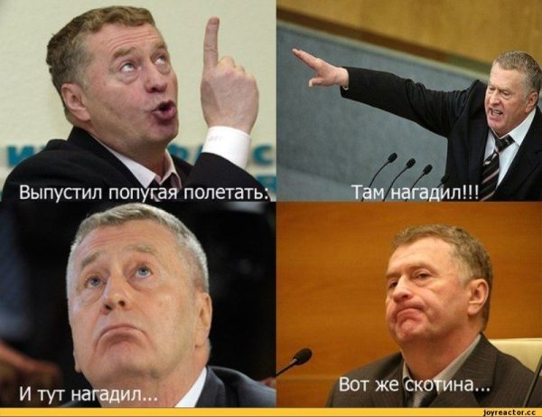 Демотиваторы про звезд