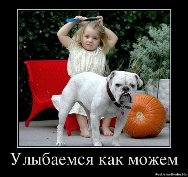 Демотиваторы приколы