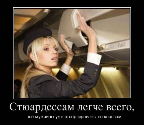 Стюардесса прикол