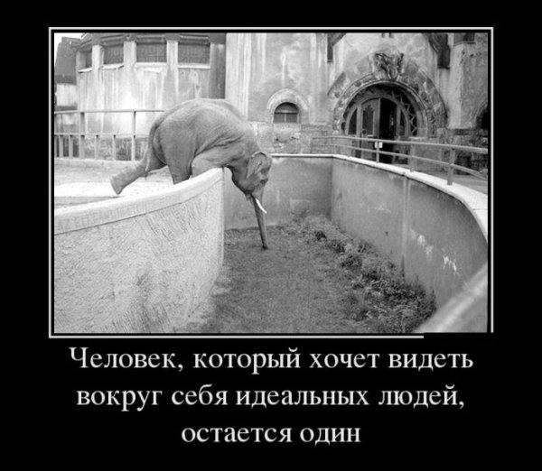 Суббота демотиватор