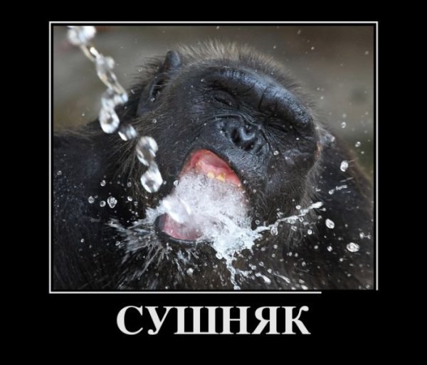 Сушняк демотиватор