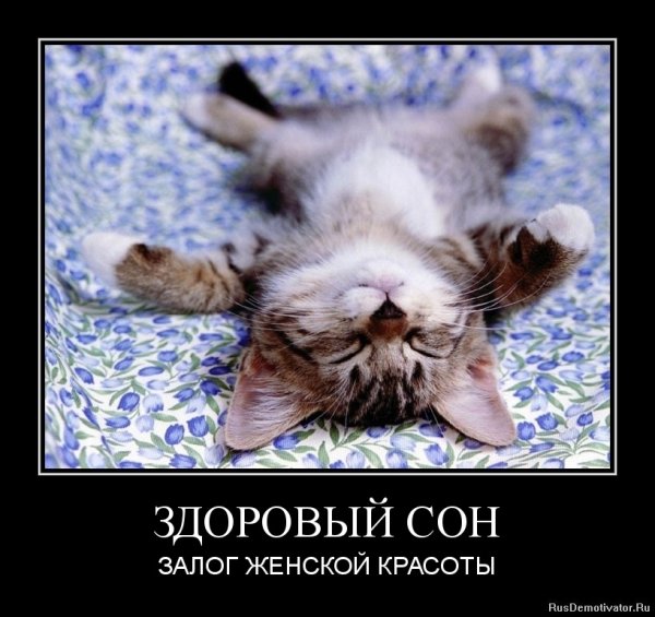 Демотиваторы про сон