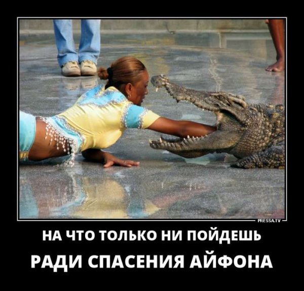 Pressa TV демотиваторы
