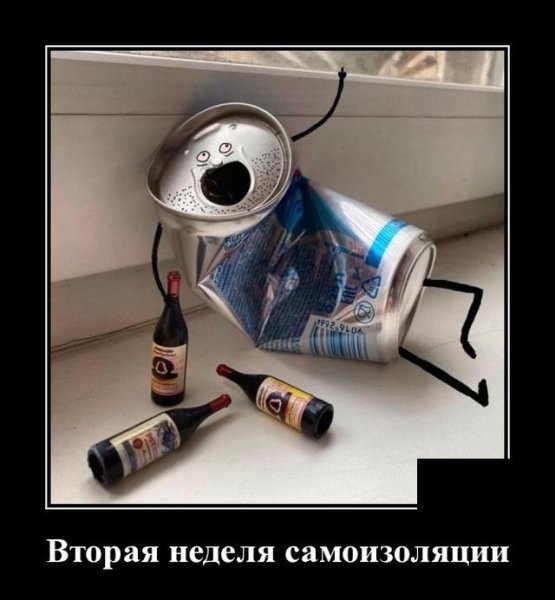 Демотиваторы про самоизоляцию