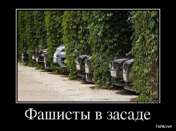 Демотиваторы про немцев