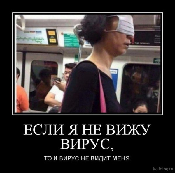 Карантин демотиваторы смешные