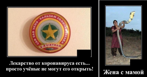 Коронавирусные демотиваторы