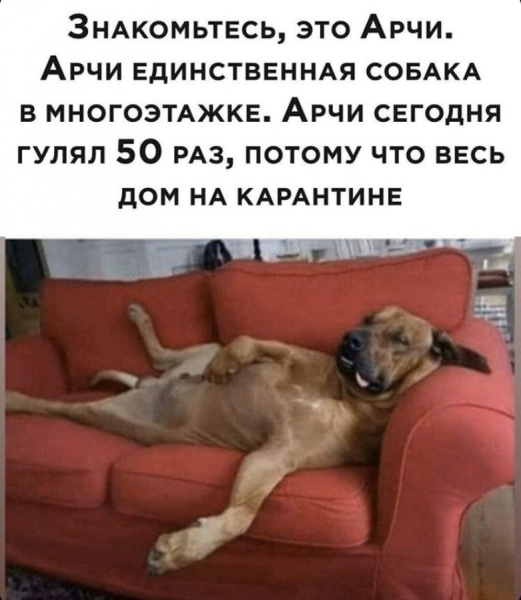 Смешные шутки