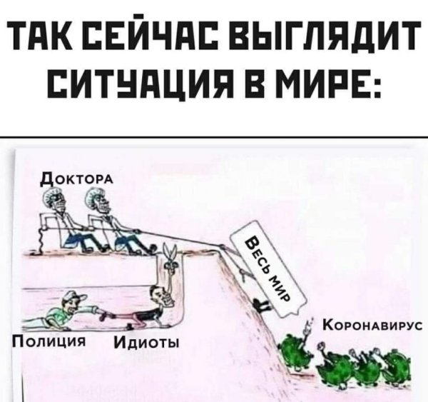 Смешные высказывания про коронавирус