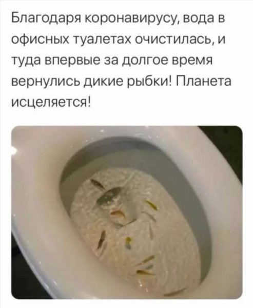 Анекдоты про коронавирус в картинках