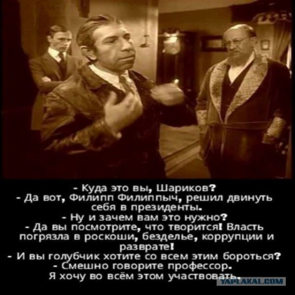 Цитаты из собачьего сердца