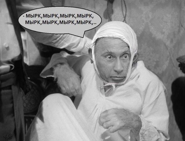 Фотожабы шариков