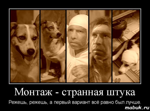 Собачье сердце демотиваторы