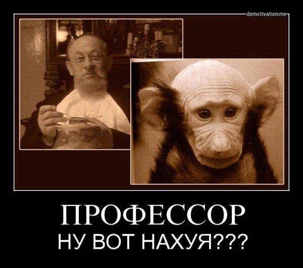 Профессор демотиватор