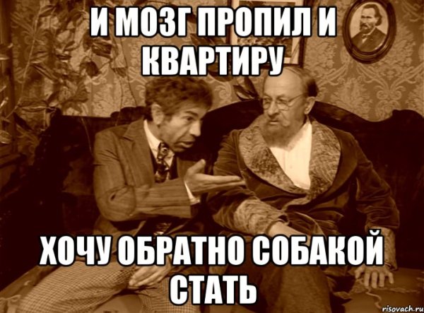 Шариков из собачьего сердца приколы