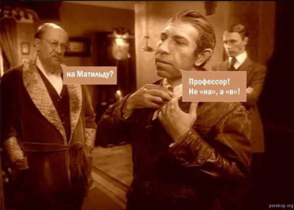 Шариков из собачьего сердца приколы