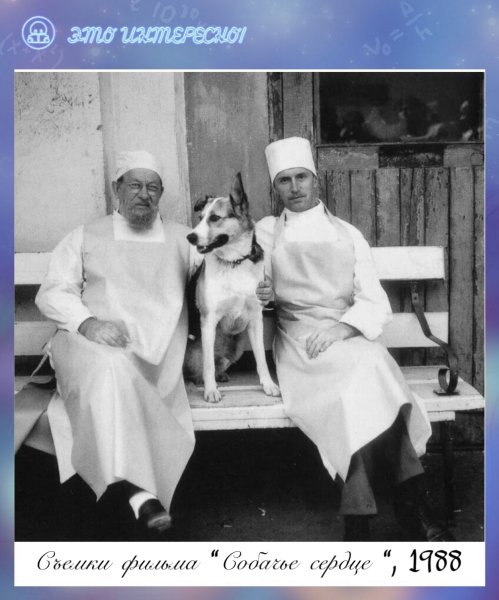 Профессор Преображенский Собачье сердце