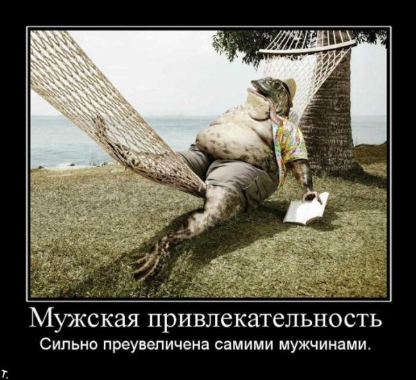 Демотиваторы про мужчин