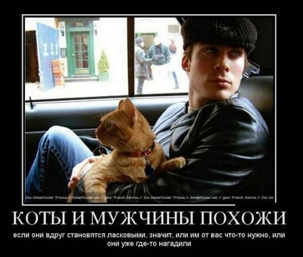 Демотиваторы про мужчин смешные