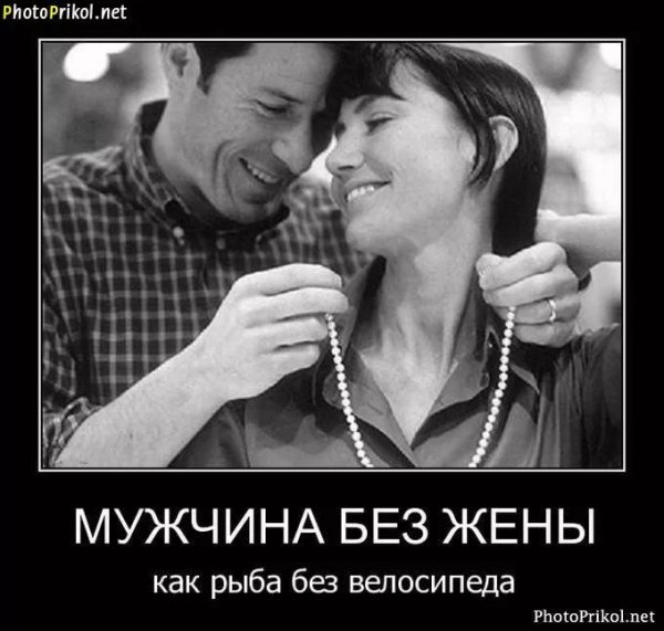 Демотиваторы про жену