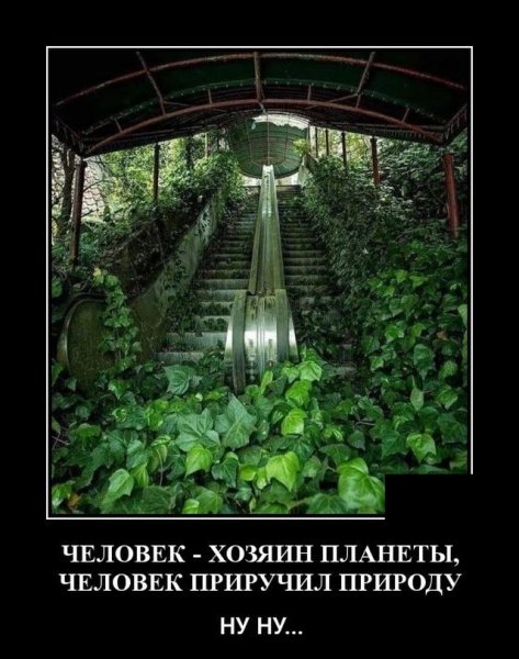 Злободневные демотиваторы