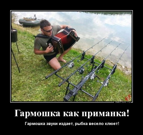Демотиваторы свежие