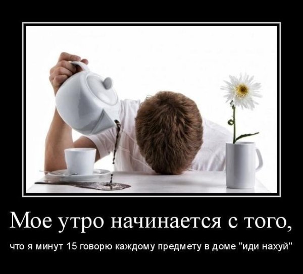 С добрым утром прикол
