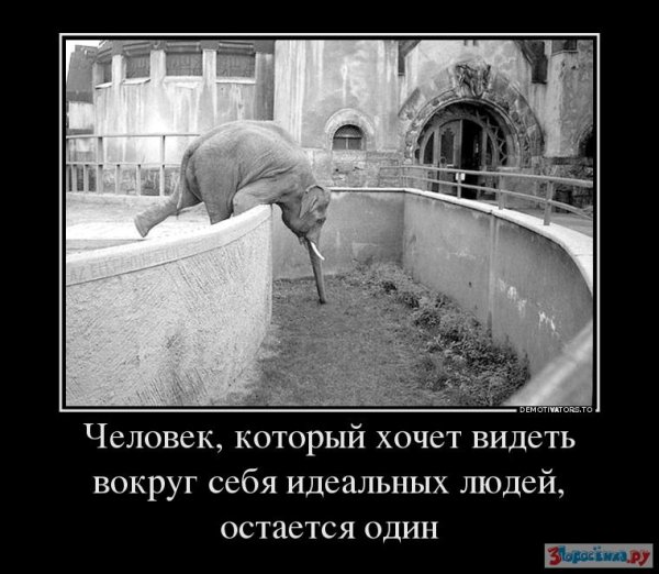 Доброе утро демотиваторы смешные