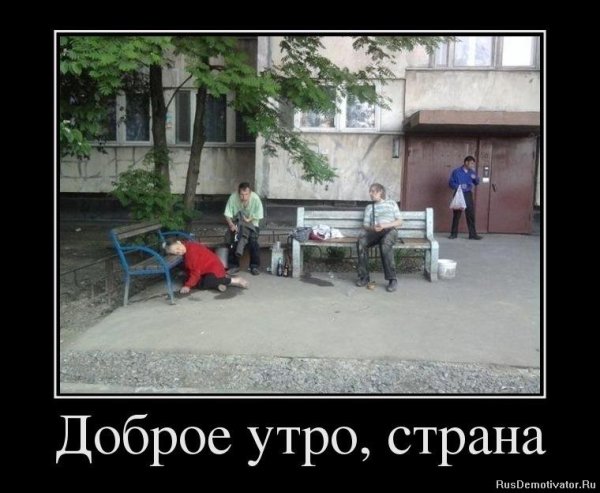 Демотиваторы доброе утро с юмором