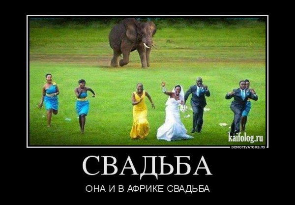 Демотиваторы смешные