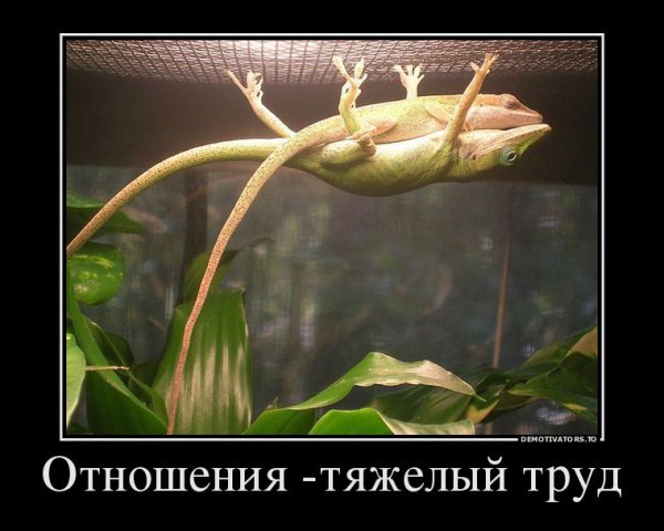 Отношения юмор демотиваторы