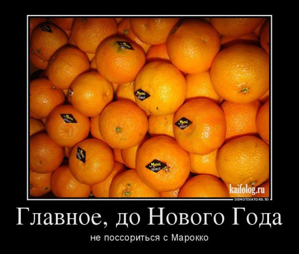Скоро новый год приколы