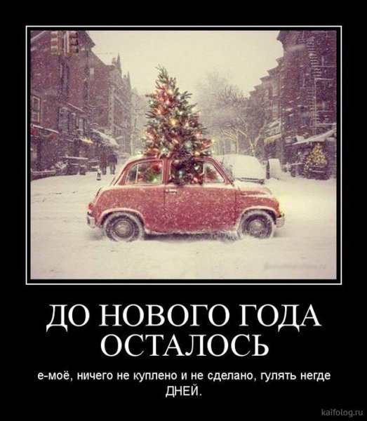 Новогодние демотиваторы смешные