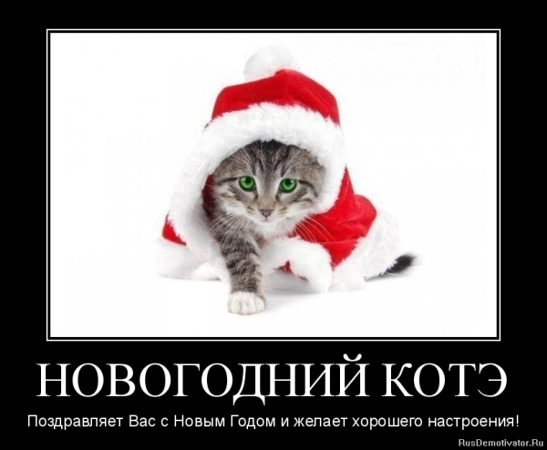 Демотиваторы с наступающим новым годом