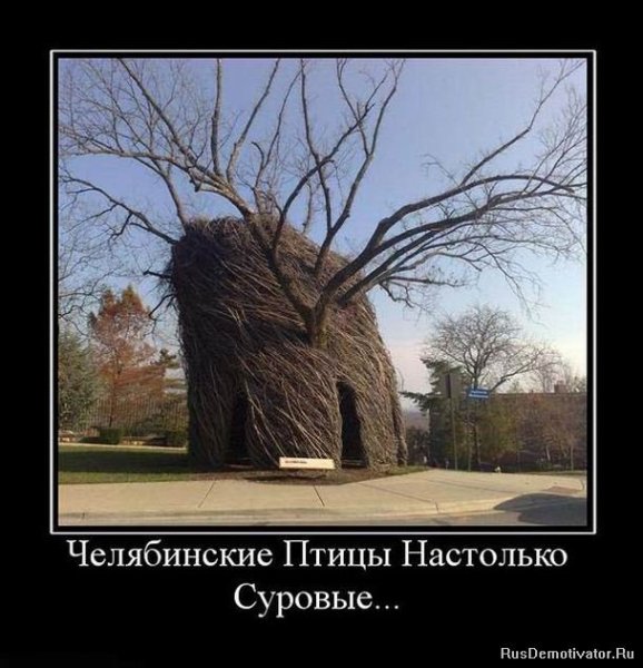 Суровые челябинские демотиваторы