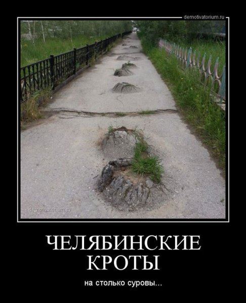 Приколы на дорогах