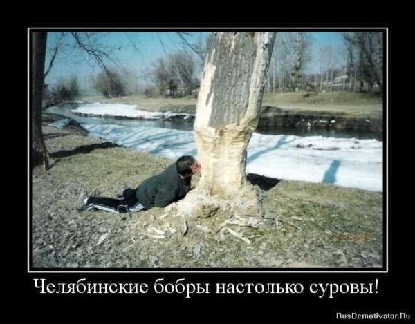 Суровые демотиваторы