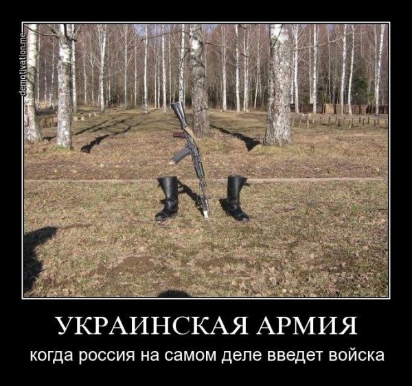 Украинская армия демотиваторы