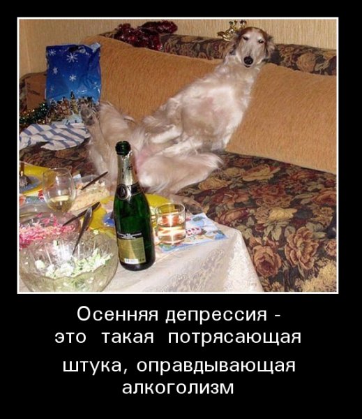 Пьянка прикольные картинки