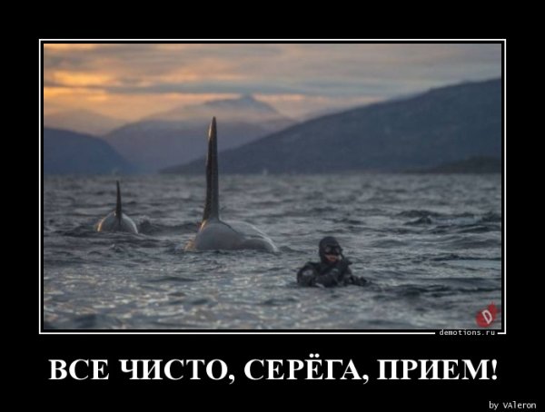 Все чисто